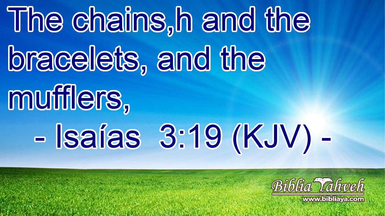 The chains,h and the bracelets, and the mufflers,
