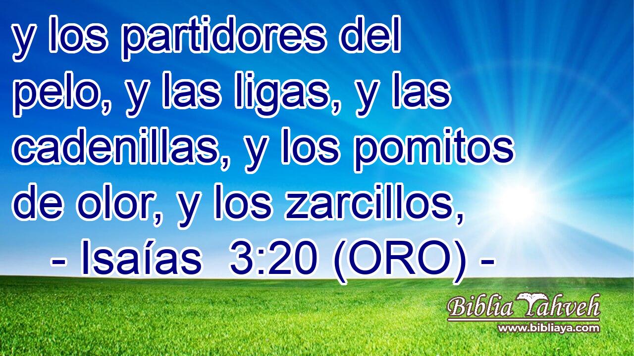 y los partidores del pelo, y las ligas, y las cadenillas, y los pomitos de olor, y los zarcillos, 
