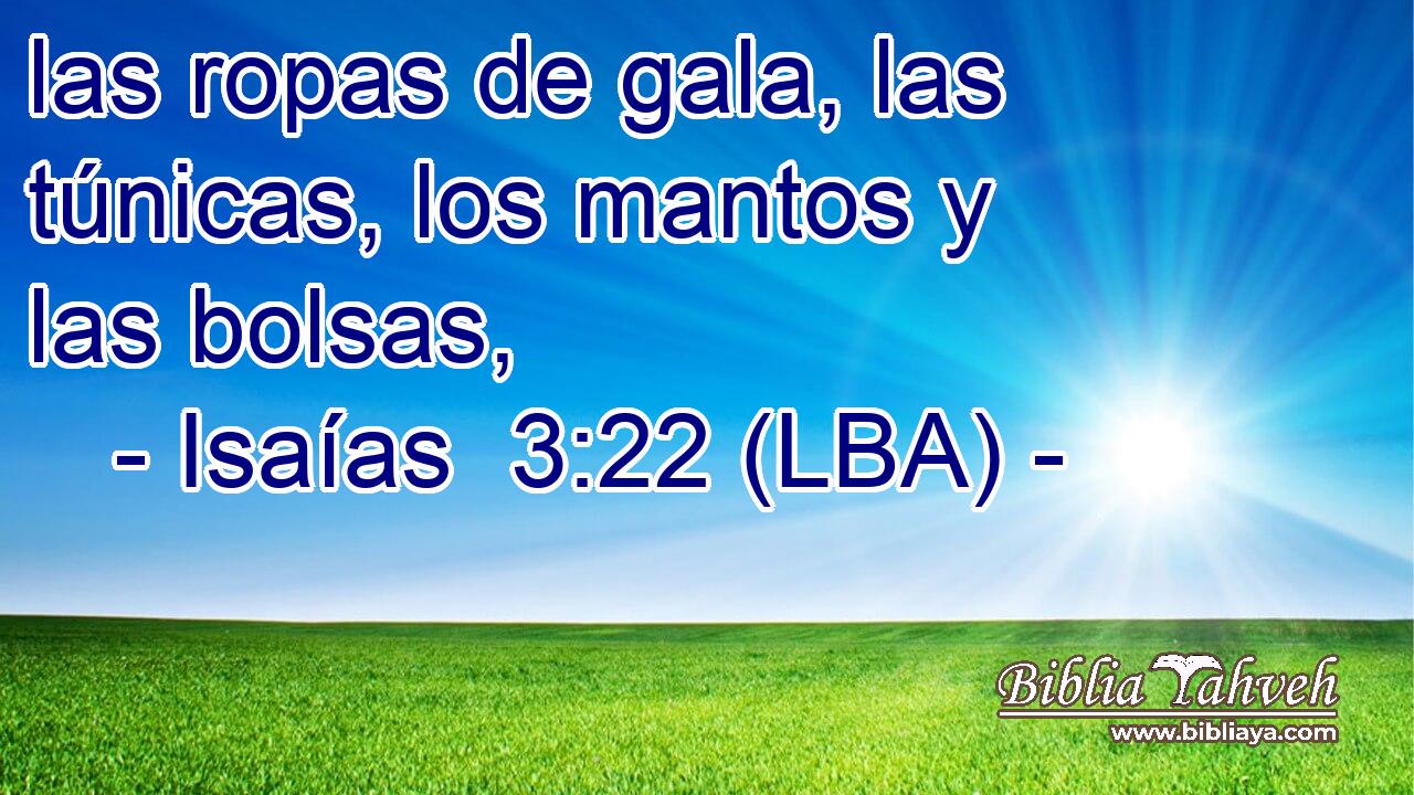 las ropas de gala, las túnicas, los mantos y las bolsas,