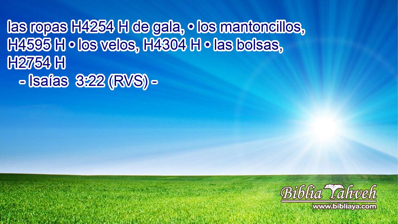 las ropas H4254 H de gala, • los mantoncillos, H4595 H • los velos, H4304 H • las bolsas, H2754 H 