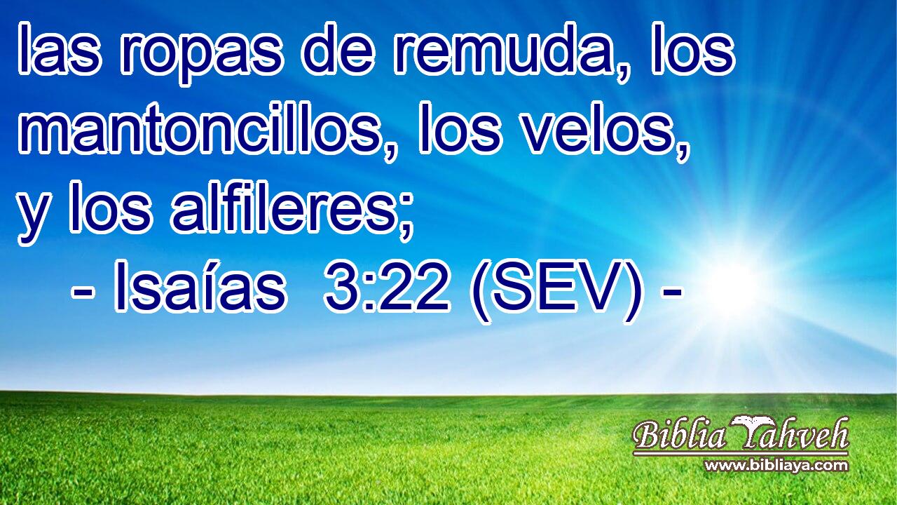 las ropas de remuda, los mantoncillos, los velos, y los alfileres;