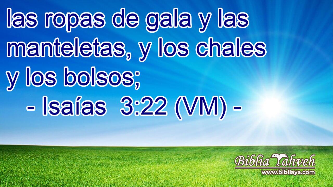  las ropas de gala y las manteletas, y los chales y los bolsos; 