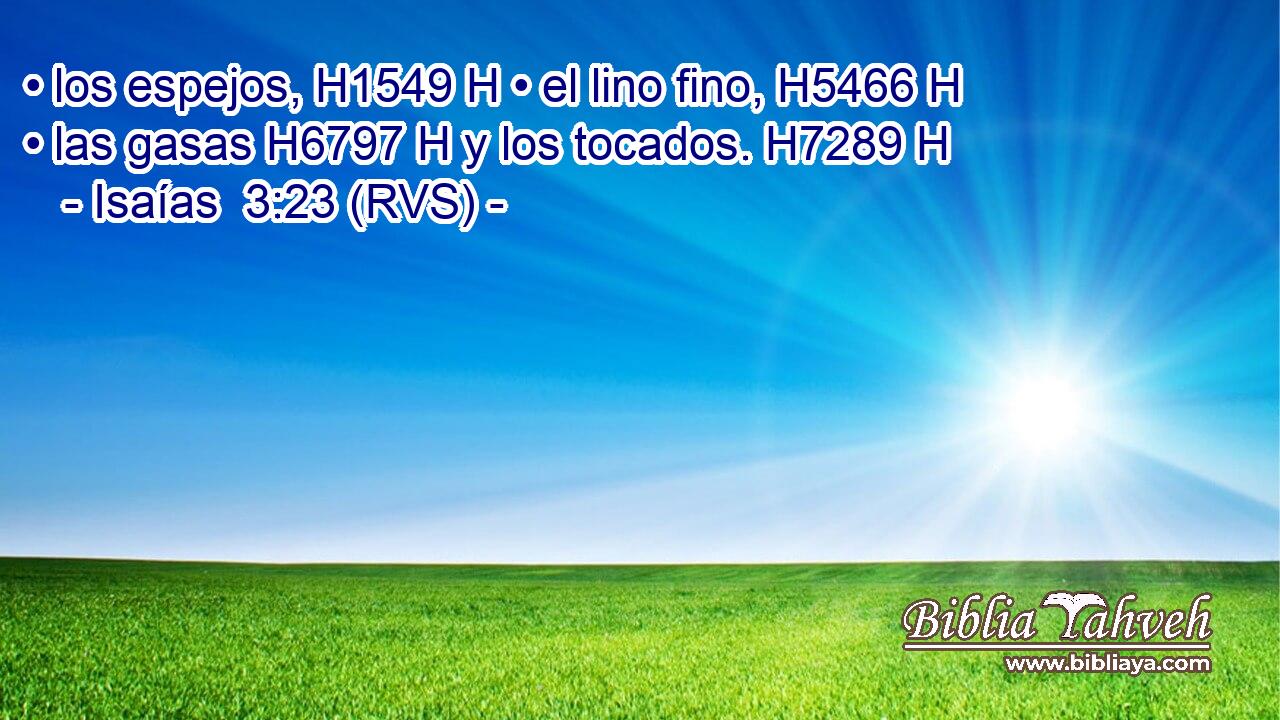 • los espejos, H1549 H • el lino fino, H5466 H • las gasas H6797 H y los tocados. H7289 H 