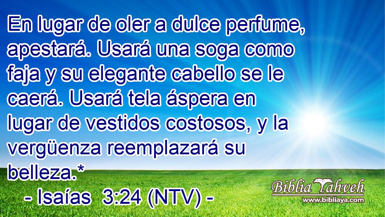 En lugar de oler a dulce perfume, apestará. Usará una soga como faja y su elegante cabello se le caerá. Usará tela áspera en lugar de vestidos costosos, y la vergüenza reemplazará su belleza.*