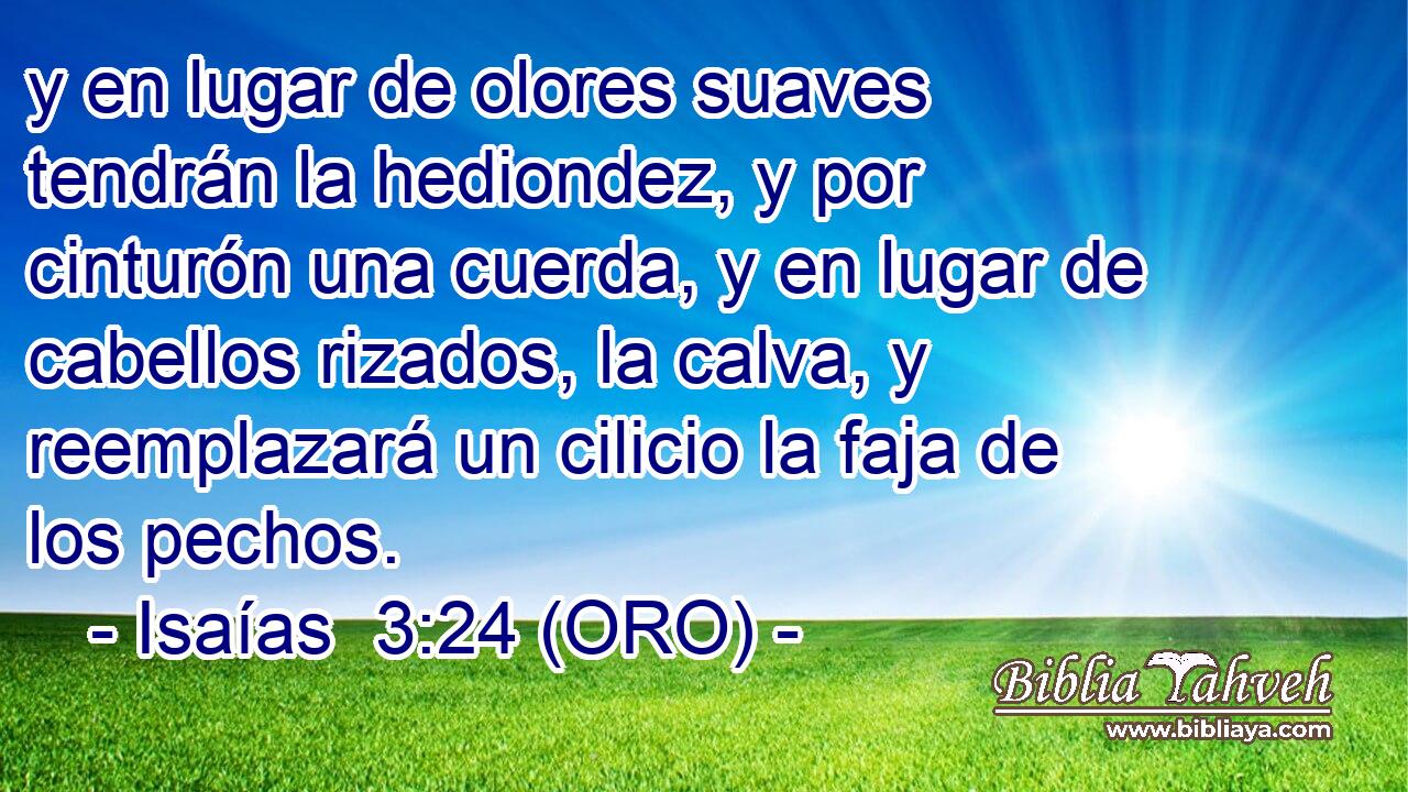  y en lugar de olores suaves tendrán la hediondez, y por cinturón una cuerda, y en lugar de cabellos rizados, la calva, y reemplazará un cilicio la faja de los pechos. 