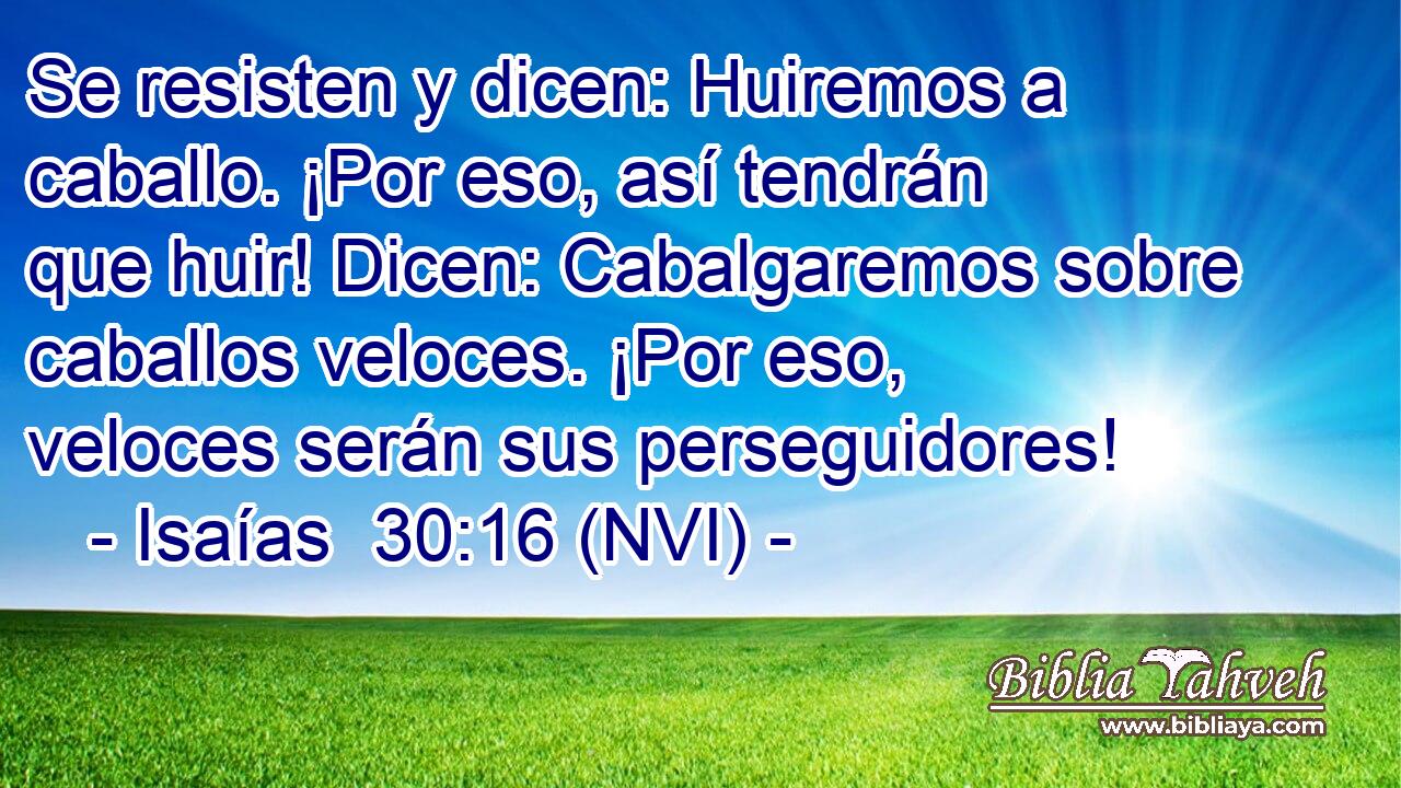  Se resisten y dicen: Huiremos a caballo. ¡Por eso, así tendrán que huir! Dicen: Cabalgaremos sobre caballos veloces. ¡Por eso, veloces serán sus perseguidores! 