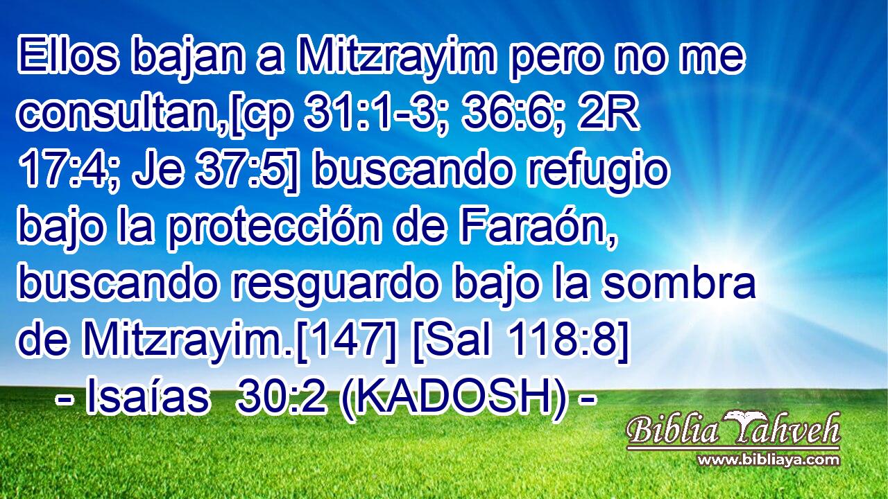  Ellos bajan a Mitzrayim pero no me consultan,[cp 31:1-3; 36:6; 2R 17:4; Je 37:5] buscando refugio bajo la protección de Faraón, buscando resguardo bajo la sombra de Mitzrayim.[147] [Sal 118:8] 