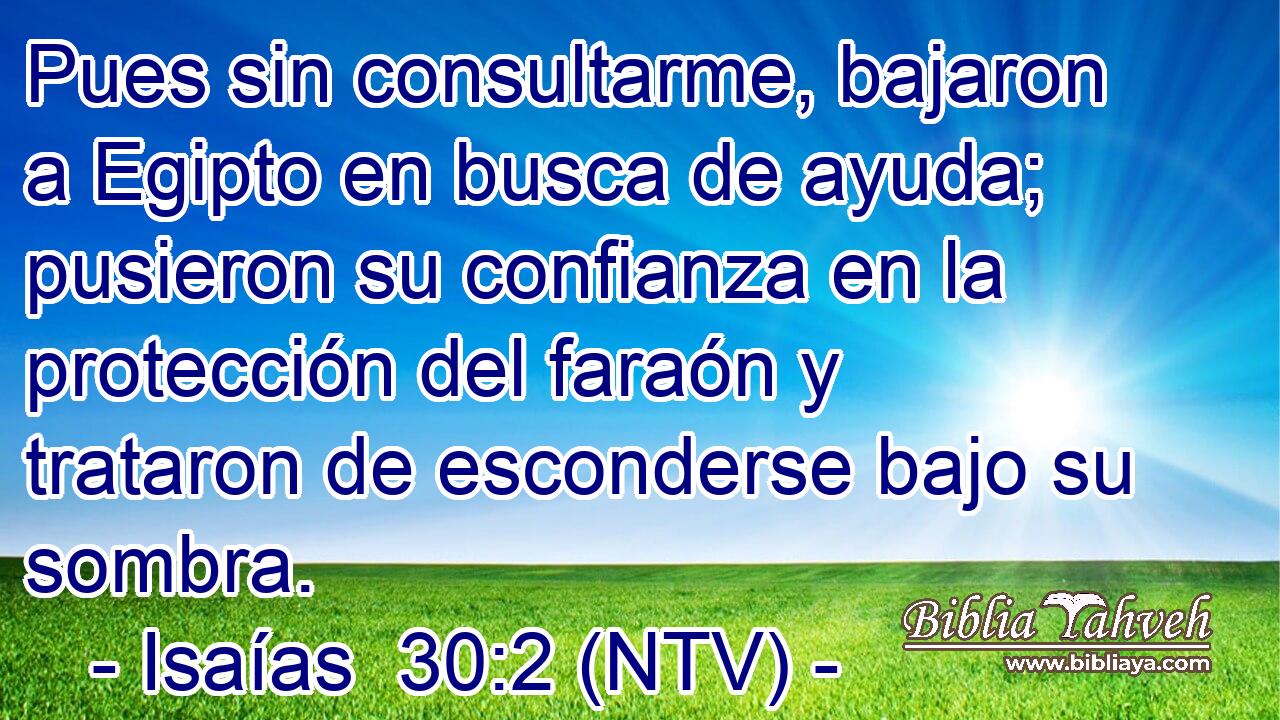 Pues sin consultarme, bajaron a Egipto en busca de ayuda; pusieron su confianza en la protección del faraón y trataron de esconderse bajo su sombra.