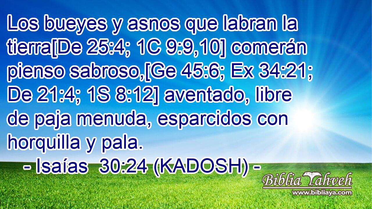  Los bueyes y asnos que labran la tierra[De 25:4; 1C 9:9,10] comerán pienso sabroso,[Ge 45:6; Ex 34:21; De 21:4; 1S 8:12] aventado, libre de paja menuda, esparcidos con horquilla y pala. 