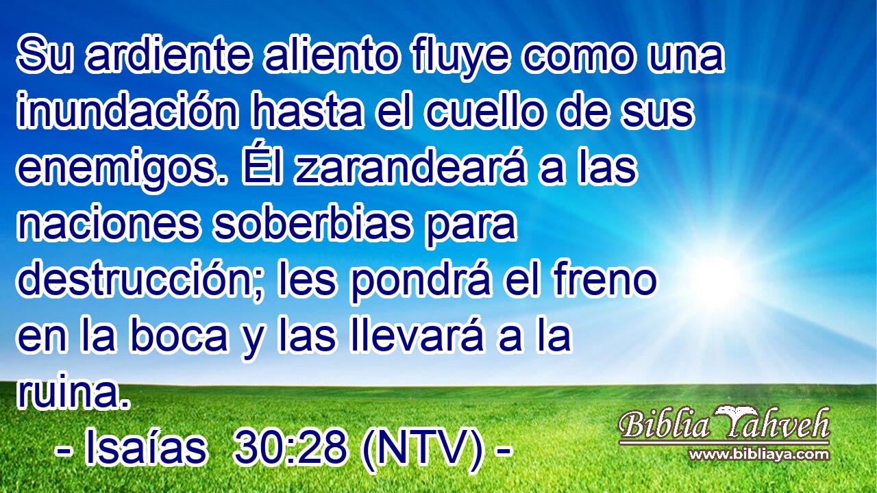 Su ardiente aliento fluye como una inundación hasta el cuello de sus enemigos. Él zarandeará a las naciones soberbias para destrucción; les pondrá el freno en la boca y las llevará a la ruina.