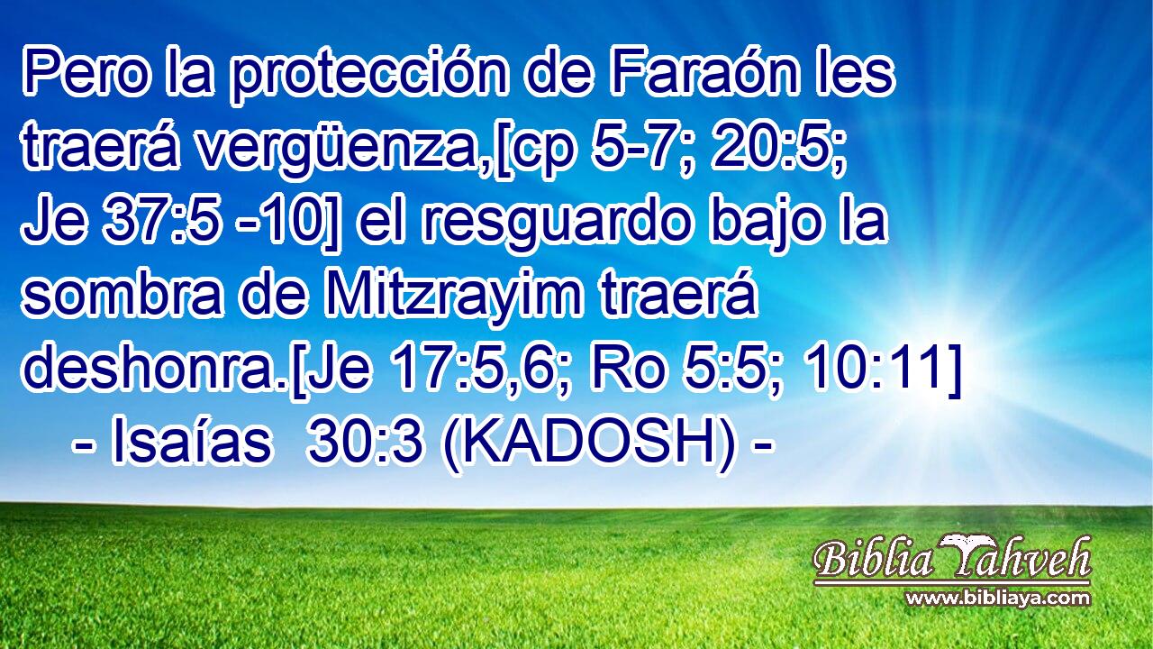  Pero la protección de Faraón les traerá vergüenza,[cp 5-7; 20:5; Je 37:5 -10] el resguardo bajo la sombra de Mitzrayim traerá deshonra.[Je 17:5,6; Ro 5:5; 10:11] 