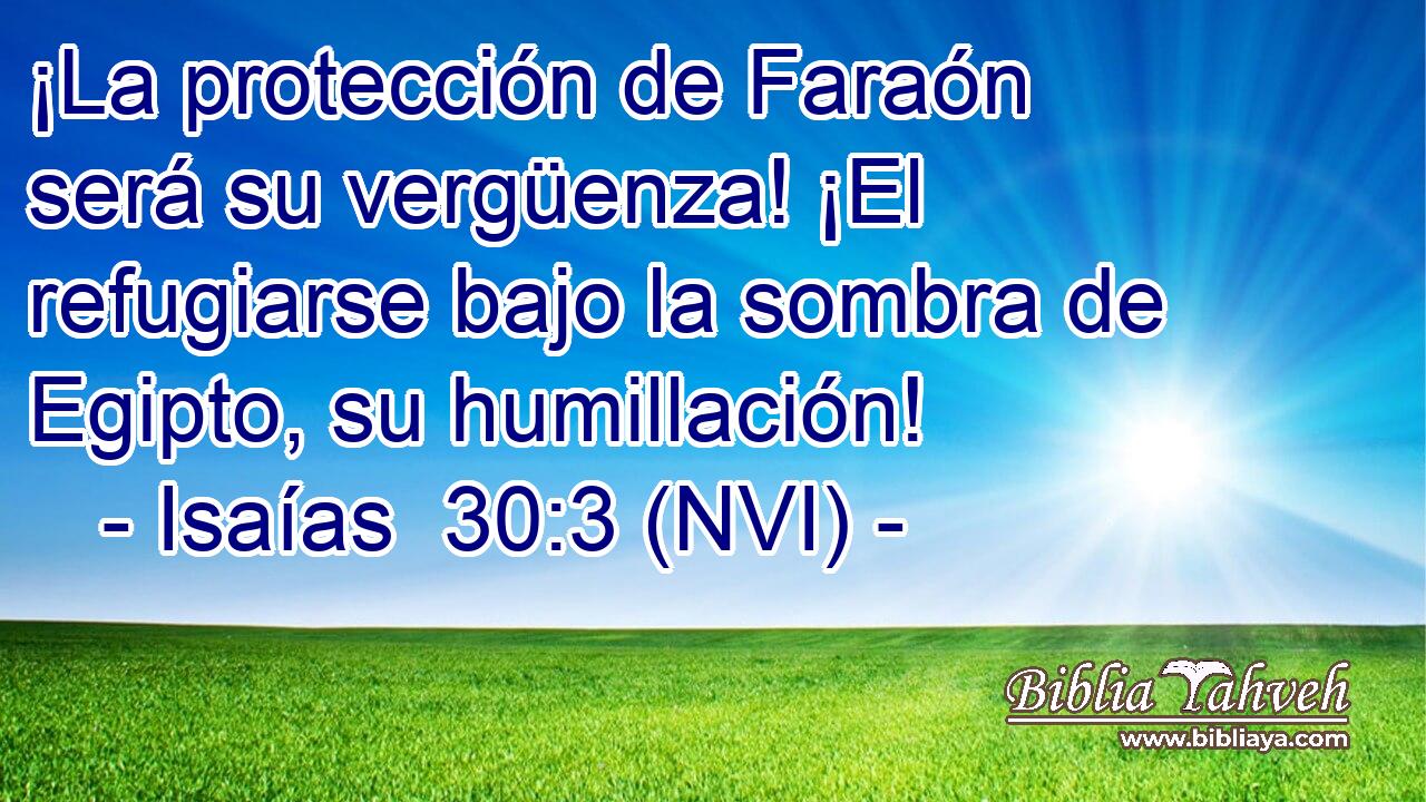  ¡La protección de Faraón será su vergüenza! ¡El refugiarse bajo la sombra de Egipto, su humillación! 