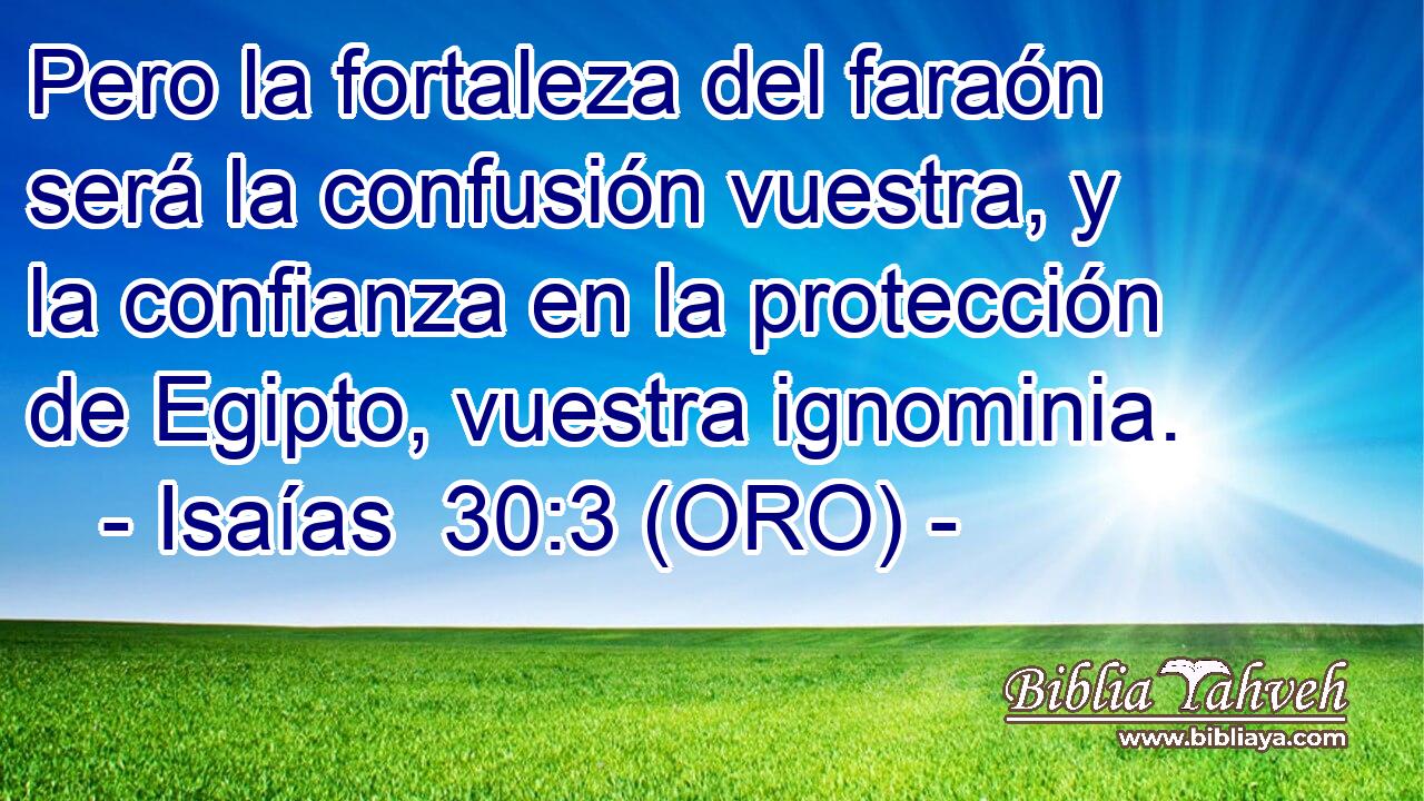  Pero la fortaleza del faraón será la confusión vuestra, y la confianza en la protección de Egipto, vuestra ignominia. 