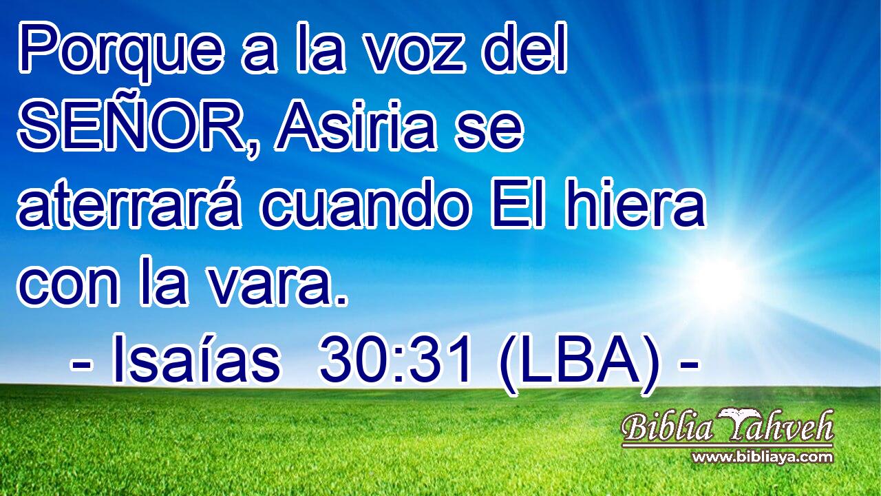 Porque a la voz del SEÑOR, Asiria se aterrará cuando El hiera con la vara.