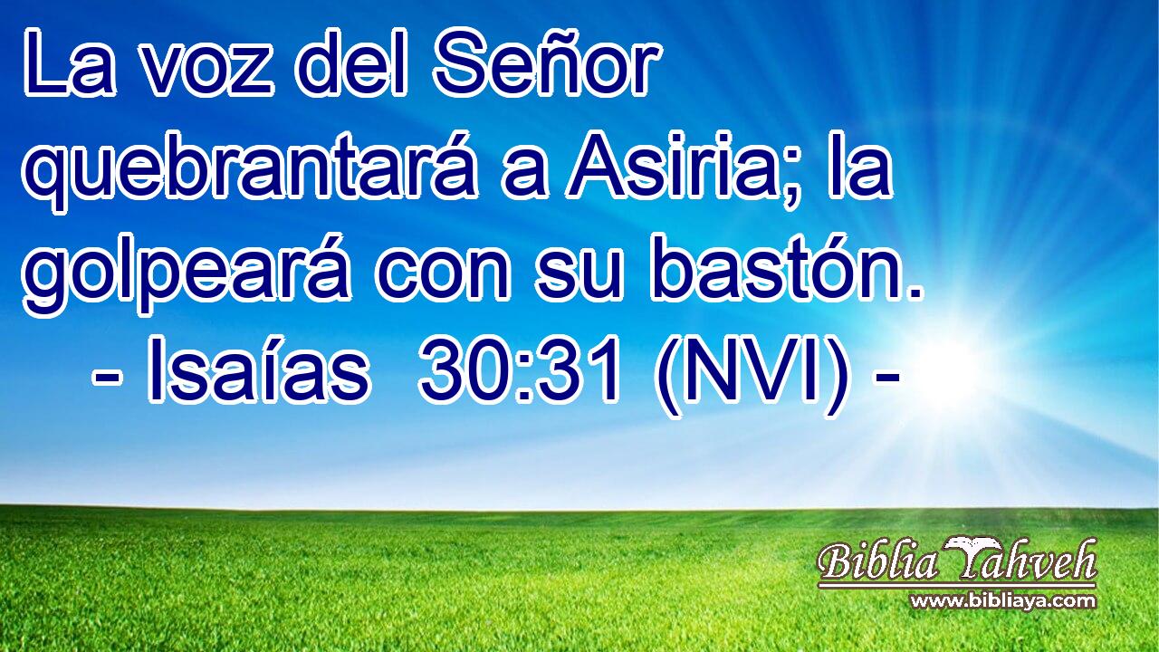  La voz del Señor quebrantará a Asiria; la golpeará con su bastón. 