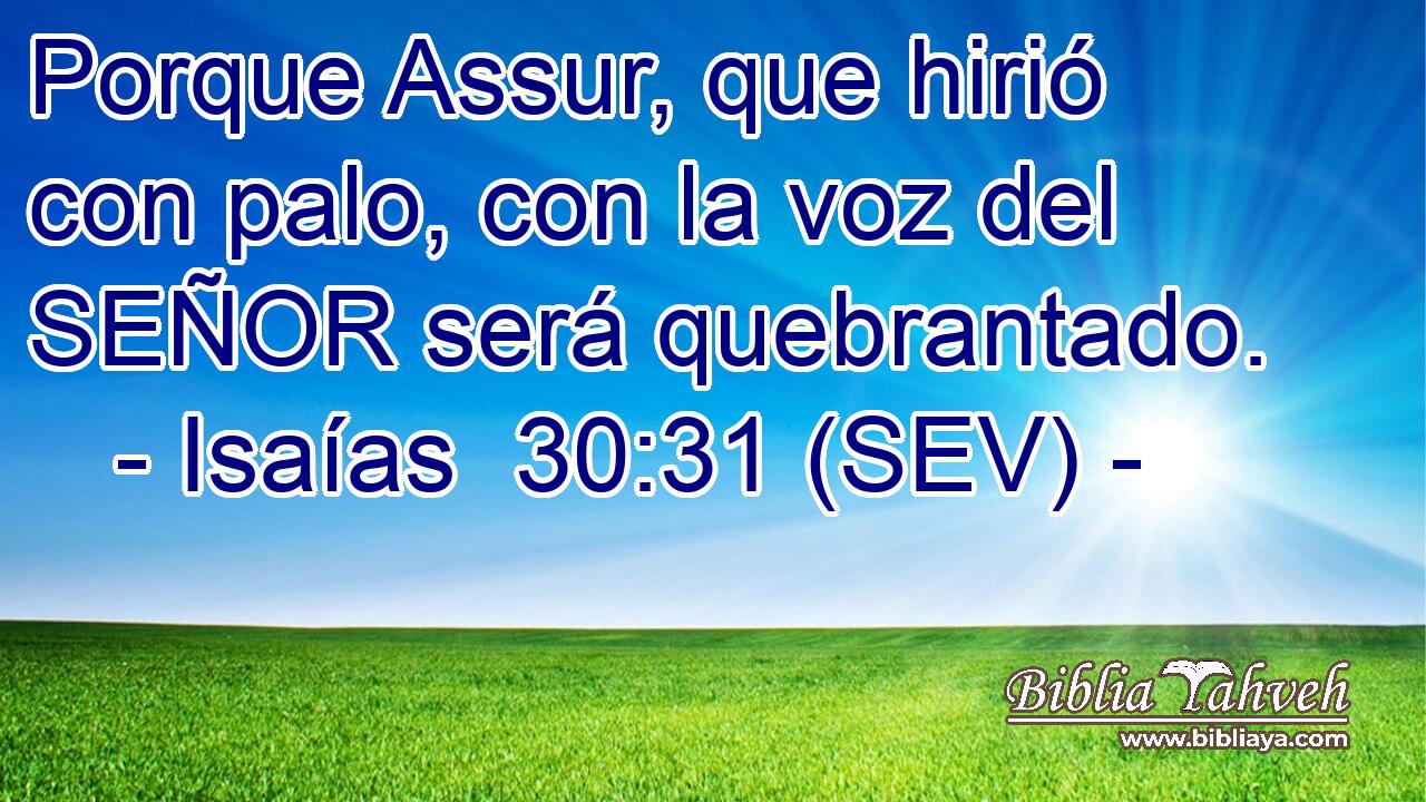 Porque Assur, que hirió con palo, con la voz del SEÑOR será quebrantado.