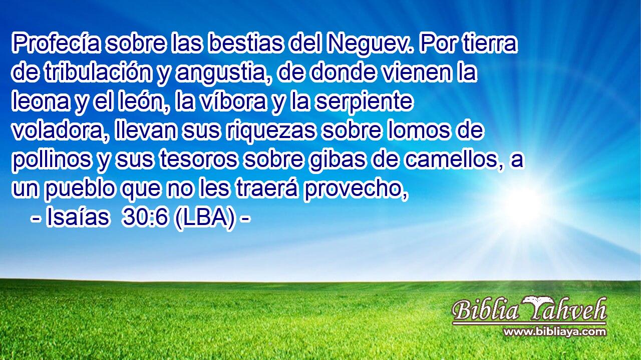 Profecía sobre las bestias del Neguev. Por tierra de tribulación y angustia, de donde vienen la leona y el león, la víbora y la serpiente voladora, llevan sus riquezas sobre lomos de pollinos y sus tesoros sobre gibas de camellos, a un pueblo que no les traerá provecho,