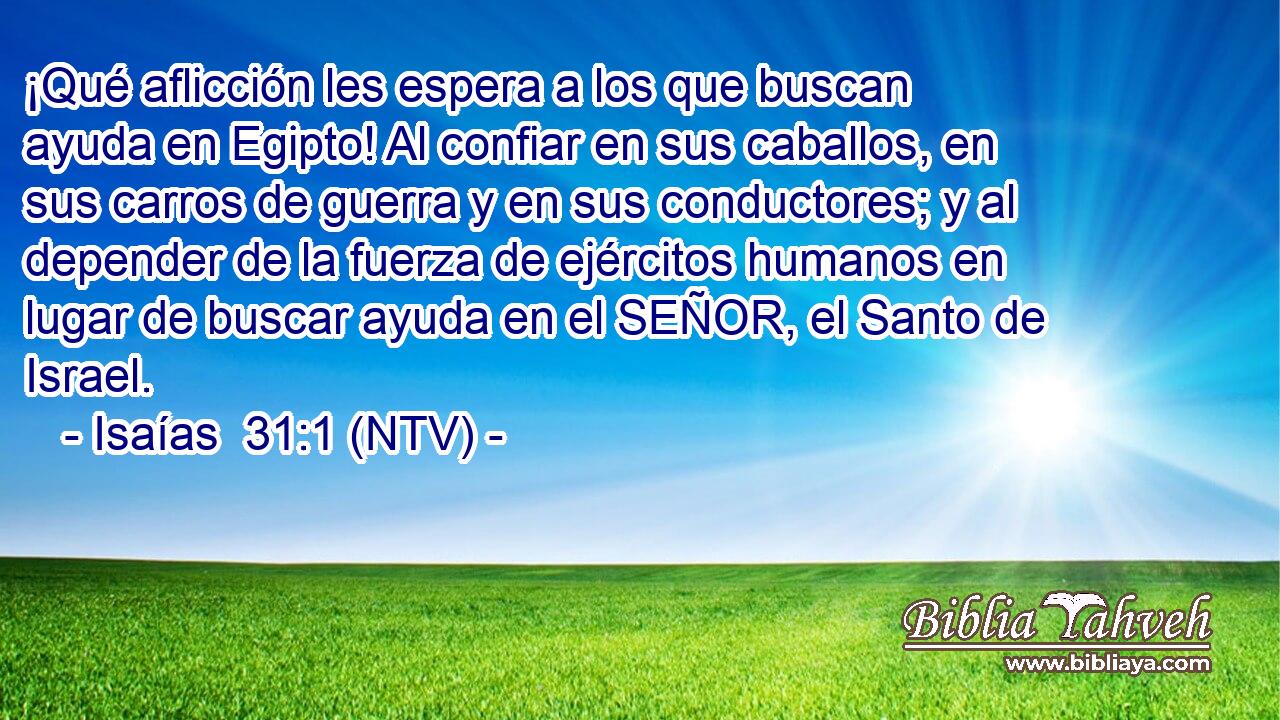 ¡Qué aflicción les espera a los que buscan ayuda en Egipto! Al confiar en sus caballos, en sus carros de guerra y en sus conductores; y al depender de la fuerza de ejércitos humanos en lugar de buscar ayuda en el SEÑOR, el Santo de Israel.