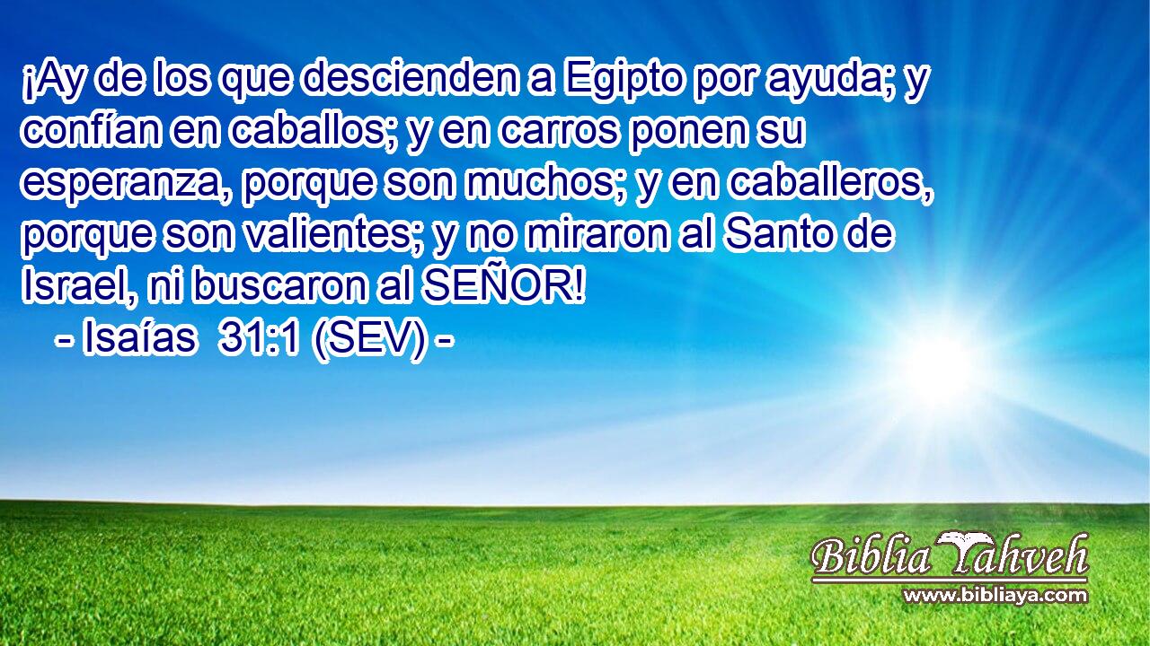¡Ay de los que descienden a Egipto por ayuda; y confían en caballos; y en carros ponen su esperanza, porque son muchos; y en caballeros, porque son valientes; y no miraron al Santo de Israel, ni buscaron al SEÑOR!