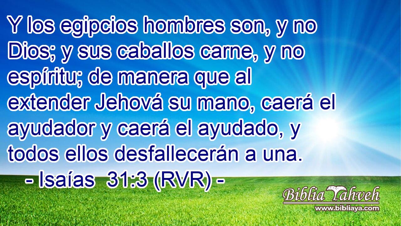 Y los egipcios hombres son, y no Dios; y sus caballos carne, y no espíritu; de manera que al extender Jehová su mano, caerá el ayudador y caerá el ayudado, y todos ellos desfallecerán a una.