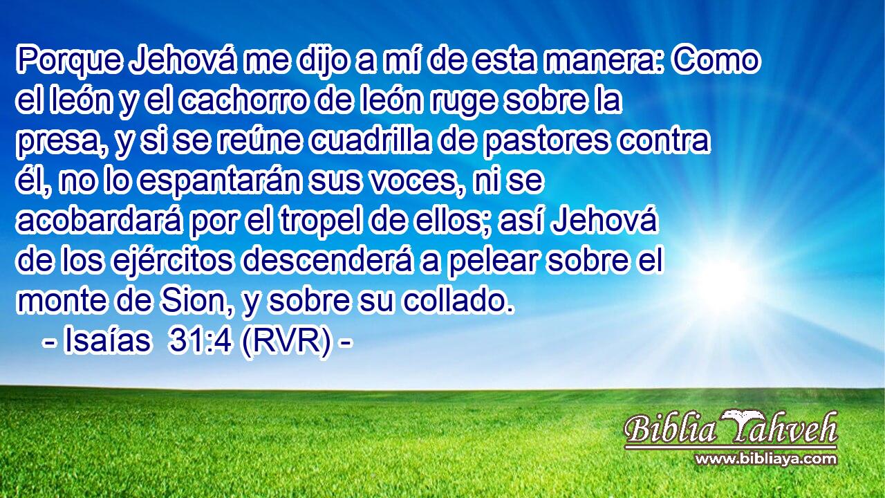 Porque Jehová me dijo a mí de esta manera: Como el león y el cachorro de león ruge sobre la presa, y si se reúne cuadrilla de pastores contra él, no lo espantarán sus voces, ni se acobardará por el tropel de ellos; así Jehová de los ejércitos descenderá a pelear sobre el monte de Sion, y sobre su collado.