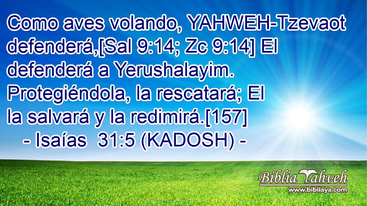  Como aves volando, YAHWEH-Tzevaot defenderá,[Sal 9:14; Zc 9:14] El defenderá a Yerushalayim. Protegiéndola, la rescatará; El la salvará y la redimirá.[157] 