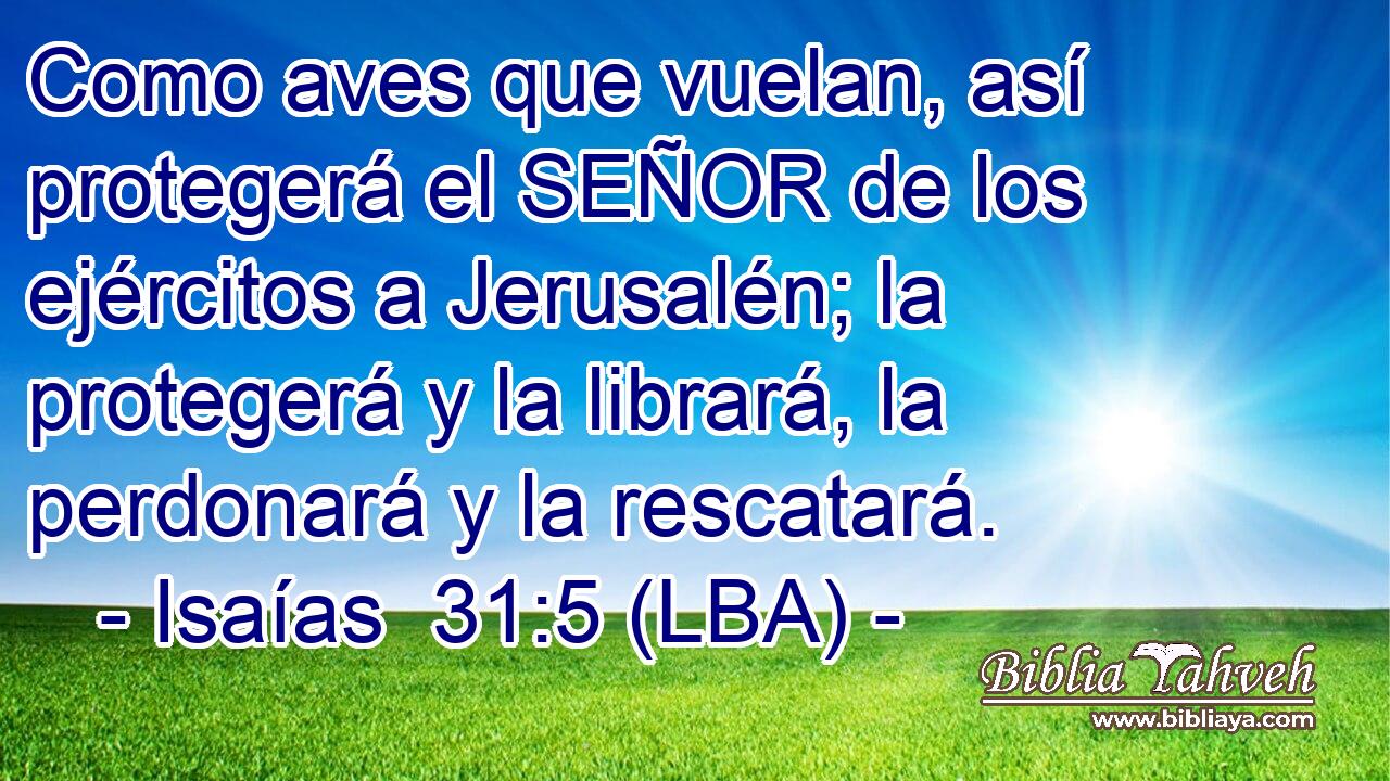 Como aves que vuelan, así protegerá el SEÑOR de los ejércitos a Jerusalén; la protegerá y la librará, la perdonará y la rescatará.