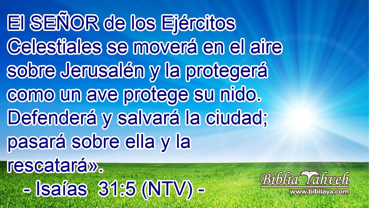 El SEÑOR de los Ejércitos Celestiales se moverá en el aire sobre Jerusalén y la protegerá como un ave protege su nido. Defenderá y salvará la ciudad; pasará sobre ella y la rescatará».