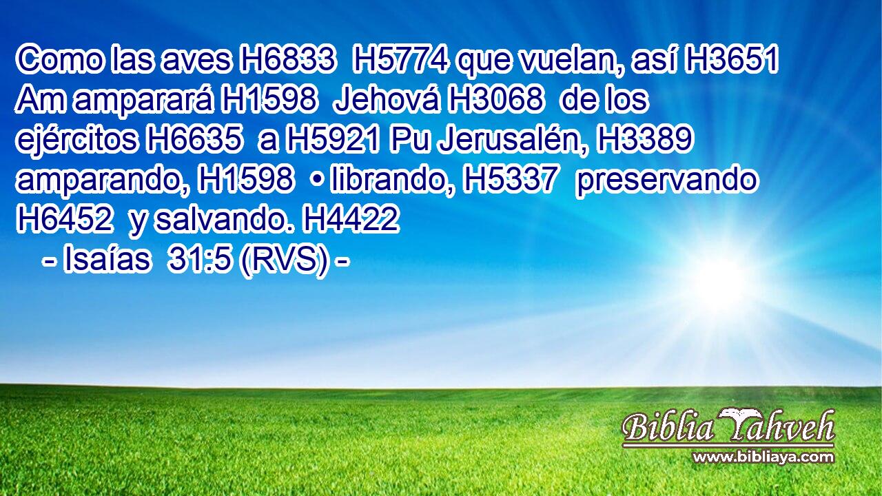 Como las aves H6833  H5774 que vuelan, así H3651 Am amparará H1598  Jehová H3068  de los ejércitos H6635  a H5921 Pu Jerusalén, H3389  amparando, H1598  • librando, H5337  preservando H6452  y salvando. H4422  