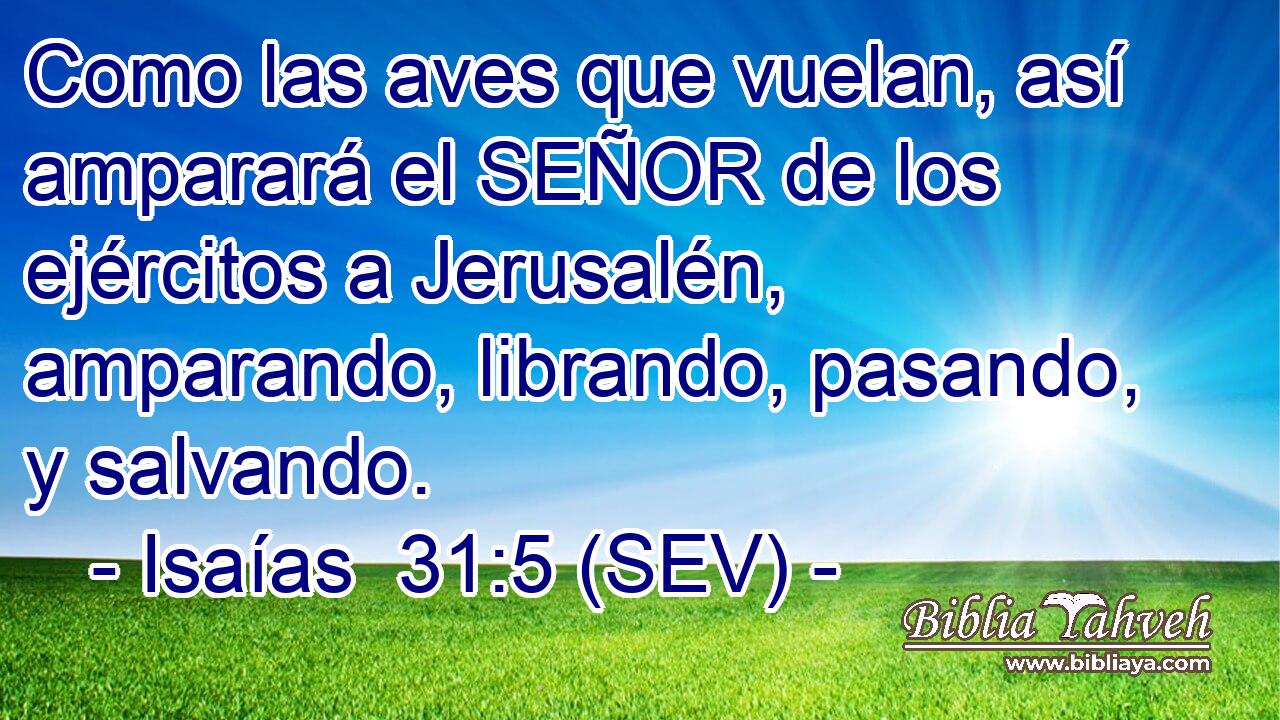 Como las aves que vuelan, así amparará el SEÑOR de los ejércitos a Jerusalén, amparando, librando, pasando, y salvando.
