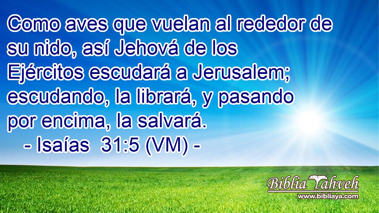  Como aves que vuelan al rededor de su nido, así Jehová de los Ejércitos escudará a Jerusalem; escudando, la librará, y pasando por encima, la salvará. 