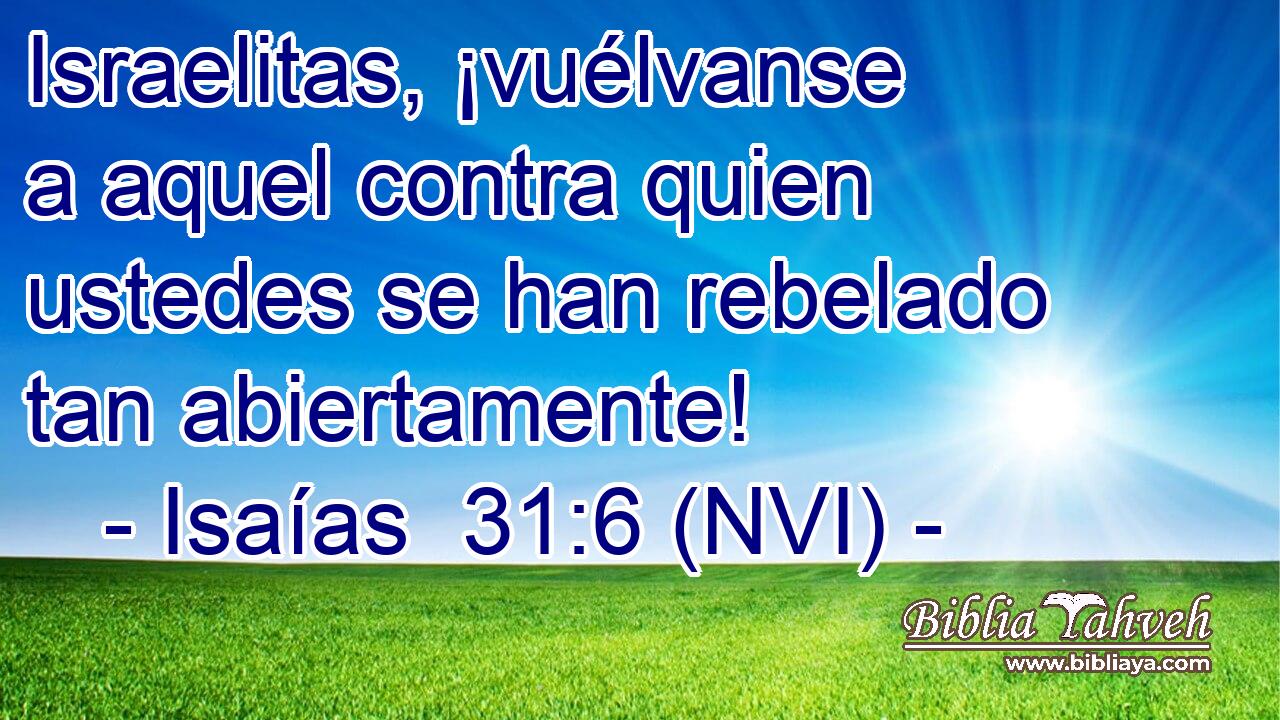  Israelitas, ¡vuélvanse a aquel contra quien ustedes se han rebelado tan abiertamente! 