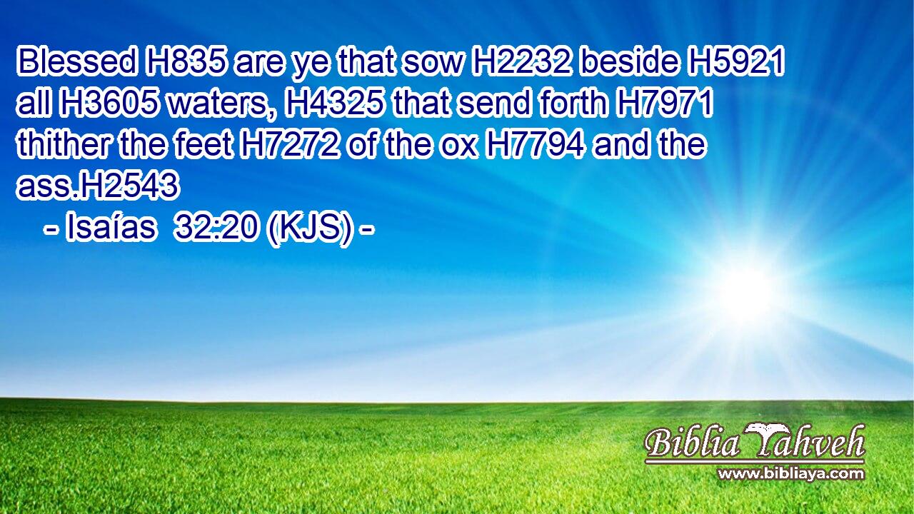 Blessed H835 are ye that sow H2232 beside H5921 all H3605 waters, H4325 that send forth H7971 thither the feet H7272 of the ox H7794 and the ass.H2543