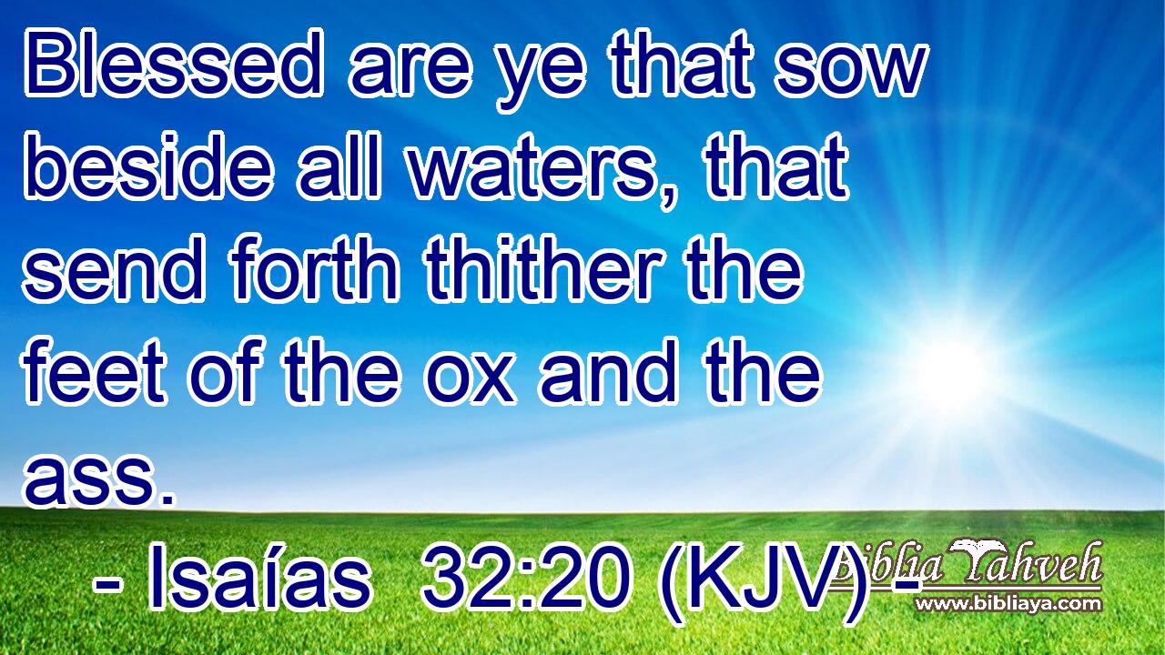 Blessed are ye that sow beside all waters, that send forth thither the feet of the ox and the ass.