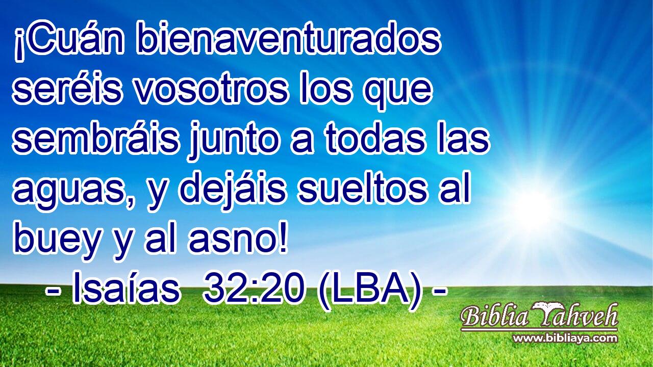 ¡Cuán bienaventurados seréis vosotros los que sembráis junto a todas las aguas, y dejáis sueltos al buey y al asno!