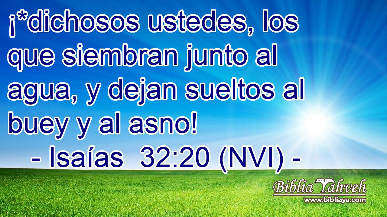  ¡*dichosos ustedes, los que siembran junto al agua, y dejan sueltos al buey y al asno! 