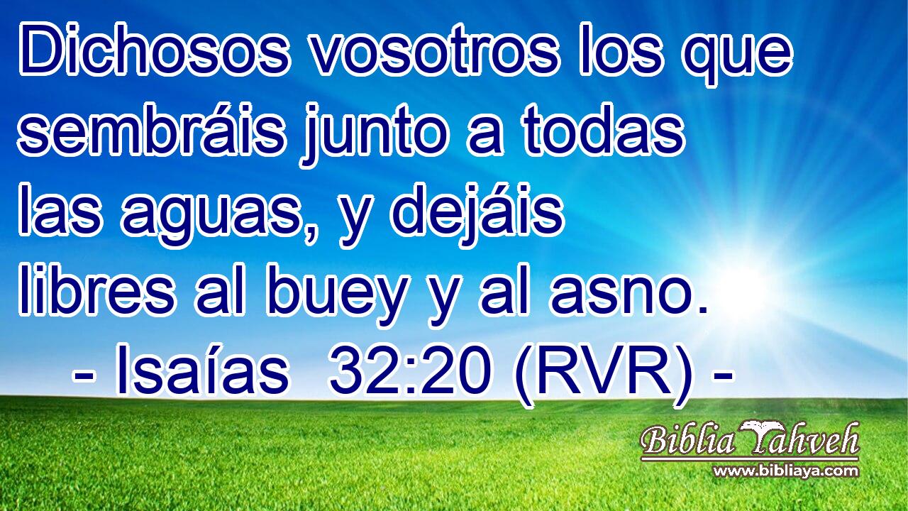 Dichosos vosotros los que sembráis junto a todas las aguas, y dejáis libres al buey y al asno.