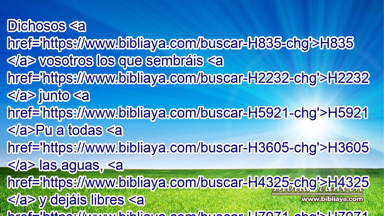 Dichosos H835  vosotros los que sembráis H2232  junto H5921 Pu a todas H3605  las aguas, H4325  y dejáis libres H7971  • H7272  al buey H7794 H y al asno. H2543 H 