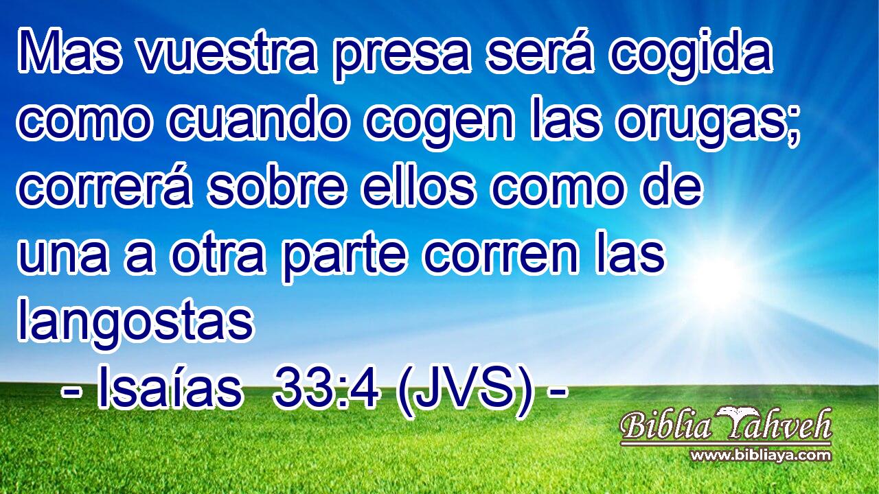 Mas vuestra presa será cogida como cuando cogen las orugas; correrá sobre ellos como de una a otra parte corren las langostas