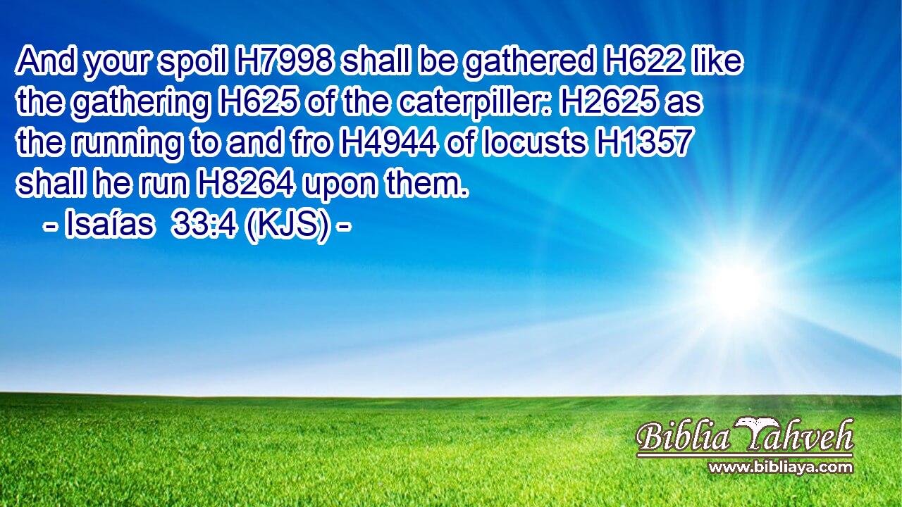 And your spoil H7998 shall be gathered H622 like the gathering H625 of the caterpiller: H2625 as the running to and fro H4944 of locusts H1357 shall he run H8264 upon them.