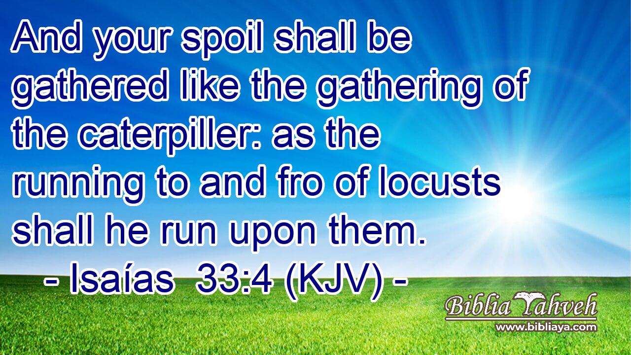 And your spoil shall be gathered like the gathering of the caterpiller: as the running to and fro of locusts shall he run upon them.