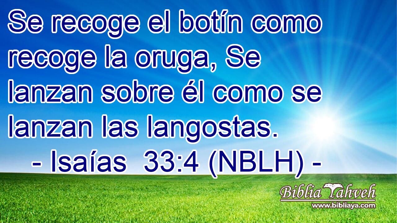  Se recoge el botín como recoge la oruga, Se lanzan sobre él como se lanzan las langostas. 