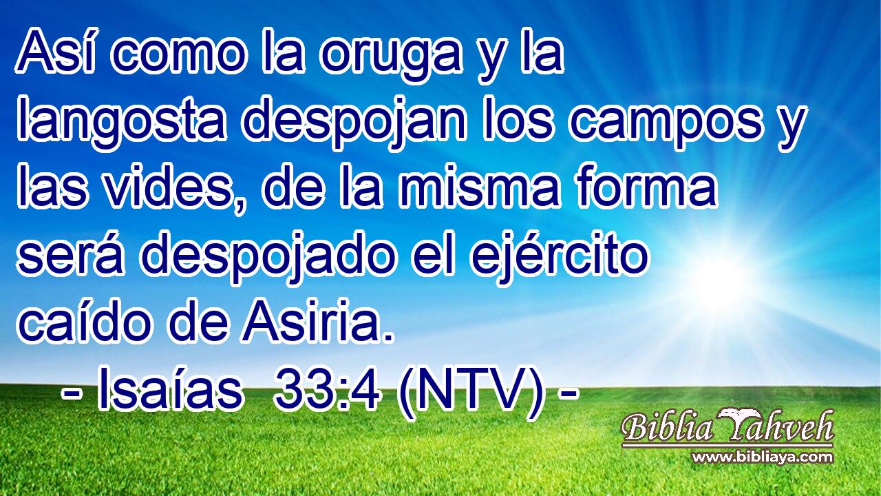 Así como la oruga y la langosta despojan los campos y las vides, de la misma forma será despojado el ejército caído de Asiria.