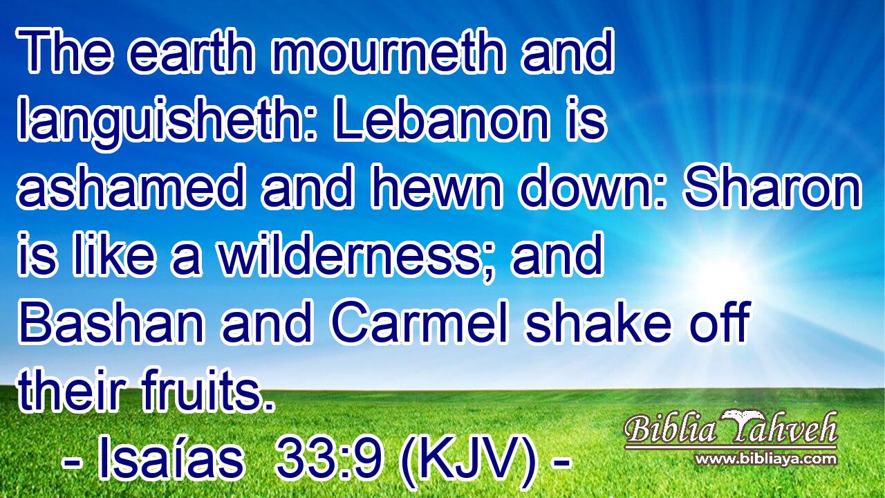 The earth mourneth and languisheth: Lebanon is ashamed and hewn down: Sharon is like a wilderness; and Bashan and Carmel shake off their fruits.