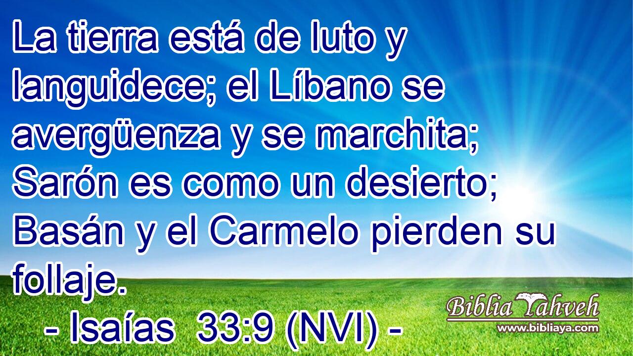  La tierra está de luto y languidece; el Líbano se avergüenza y se marchita; Sarón es como un desierto; Basán y el Carmelo pierden su follaje. 
