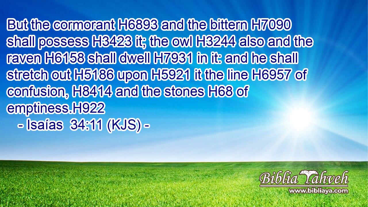 But the cormorant H6893 and the bittern H7090 shall possess H3423 it; the owl H3244 also and the raven H6158 shall dwell H7931 in it: and he shall stretch out H5186 upon H5921 it the line H6957 of confusion, H8414 and the stones H68 of emptiness.H922