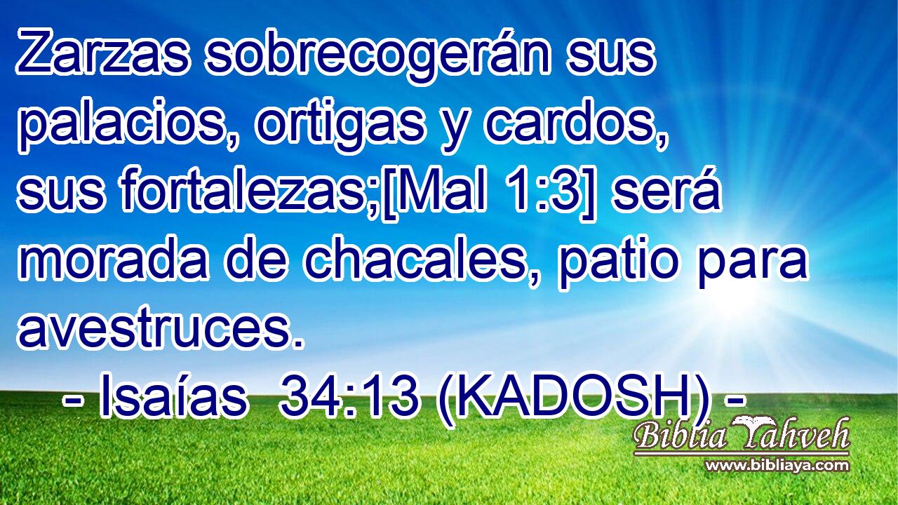  Zarzas sobrecogerán sus palacios, ortigas y cardos, sus fortalezas;[Mal 1:3] será morada de chacales, patio para avestruces. 