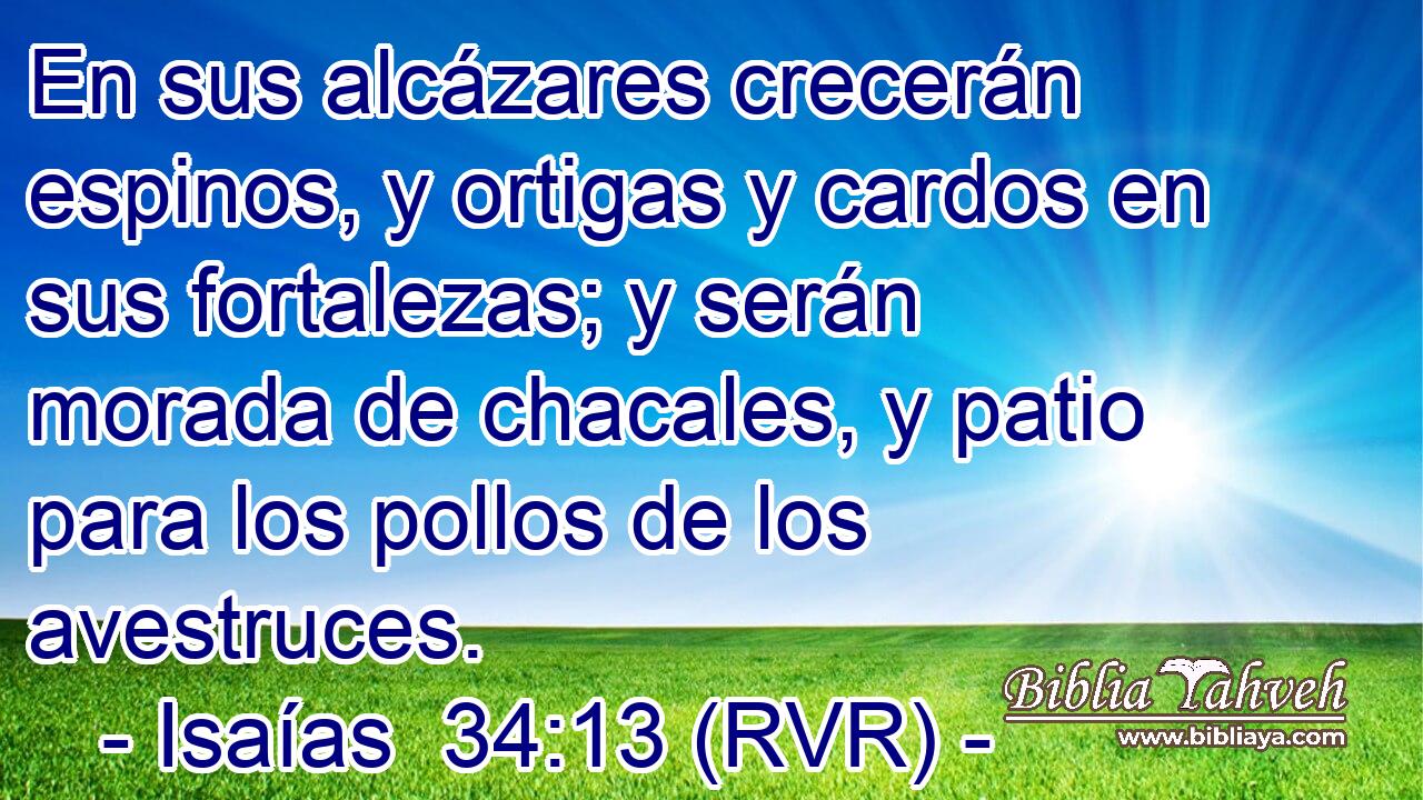 En sus alcázares crecerán espinos, y ortigas y cardos en sus fortalezas; y serán morada de chacales, y patio para los pollos de los avestruces.