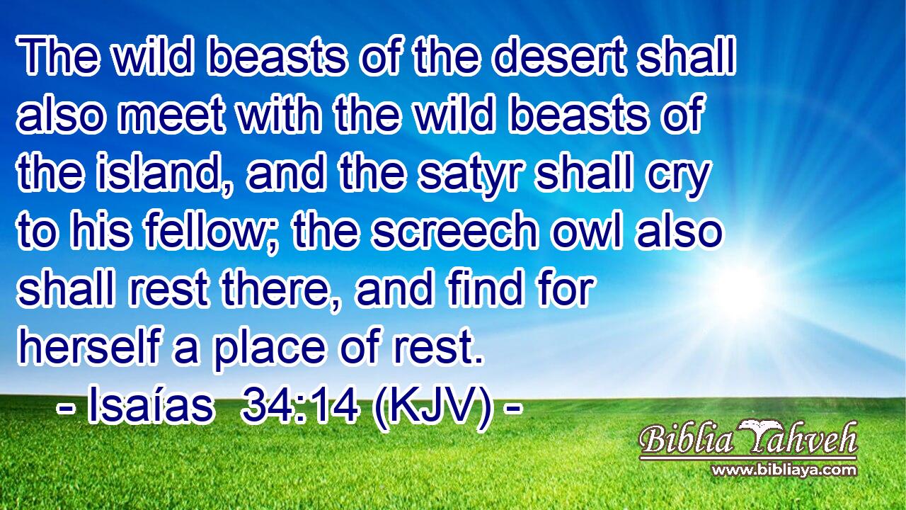 The wild beasts of the desert shall also meet with the wild beasts of the island, and the satyr shall cry to his fellow; the screech owl also shall rest there, and find for herself a place of rest.