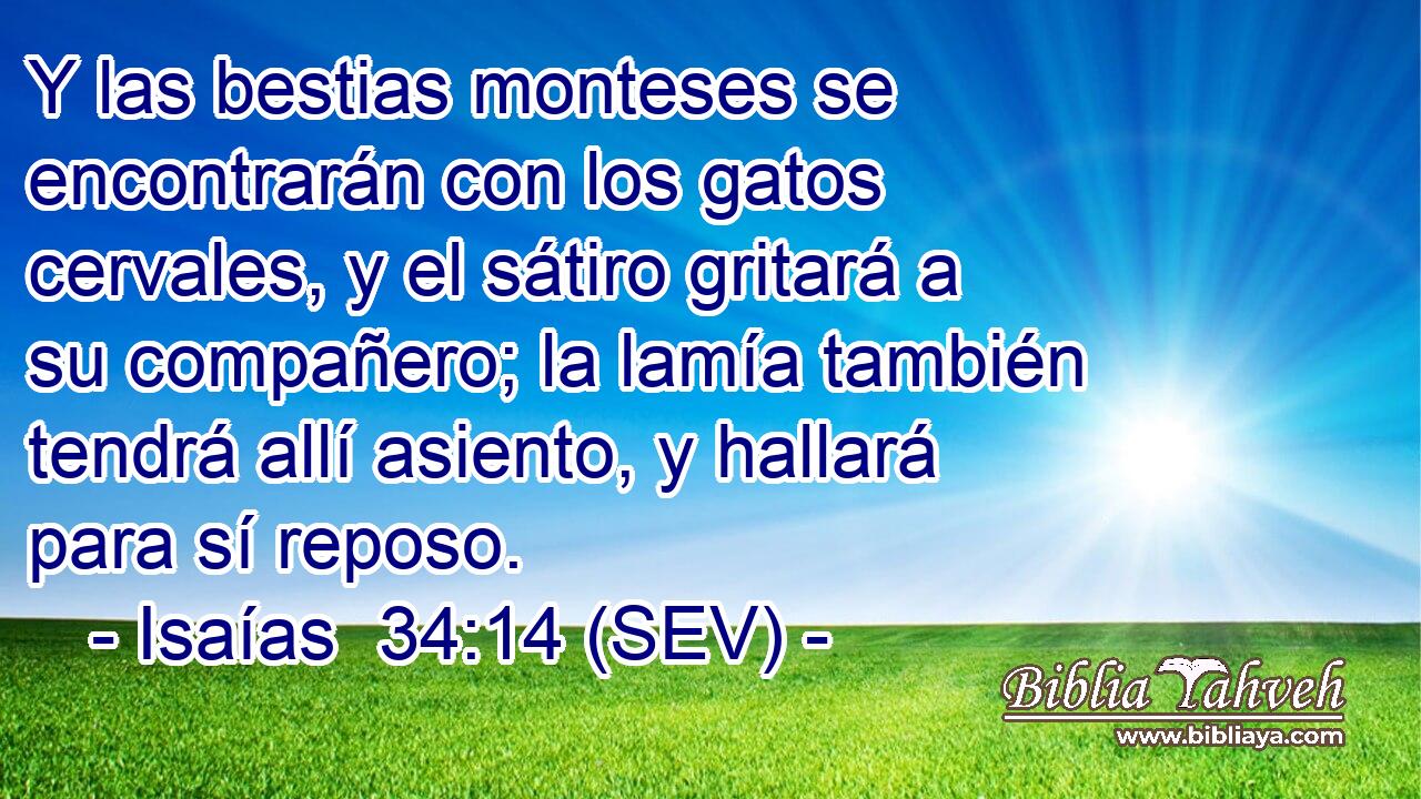 Y las bestias monteses se encontrarán con los gatos cervales, y el sátiro gritará a su compañero; la lamía también tendrá allí asiento, y hallará para sí reposo.